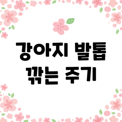 강아지 발톱 깎는 주기