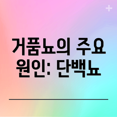 거품뇨의 주요 원인: 단백뇨