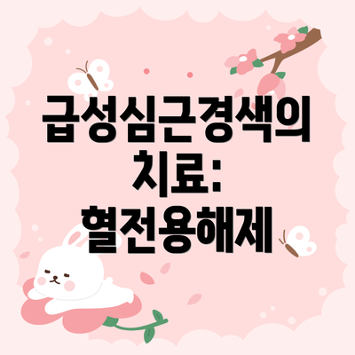 급성심근경색의 치료: 혈전용해제