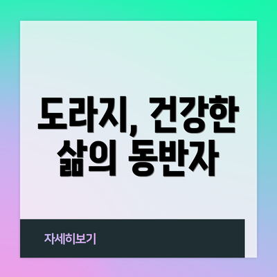 도라지, 건강한 삶의 동반자