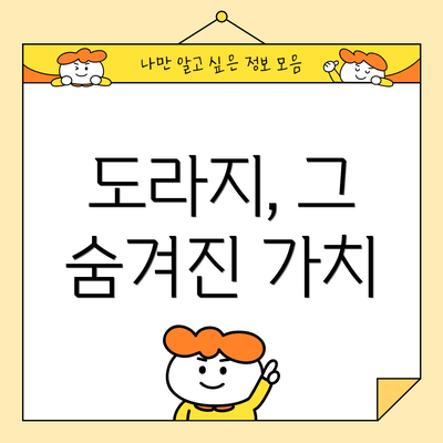 도라지, 그 숨겨진 가치