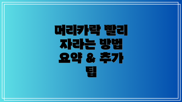머리카락 빨리 자라는 방법 요약 & 추가 팁
