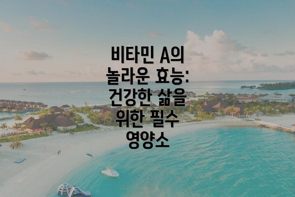 비타민 A의 놀라운 효능: 건강한 삶을 위한 필수 영양소