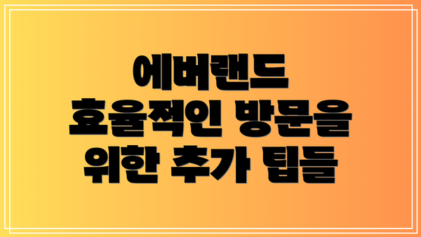 에버랜드 효율적인 방문을 위한 추가 팁들
