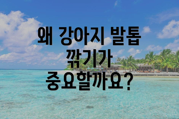 왜 강아지 발톱 깎기가 중요할까요?