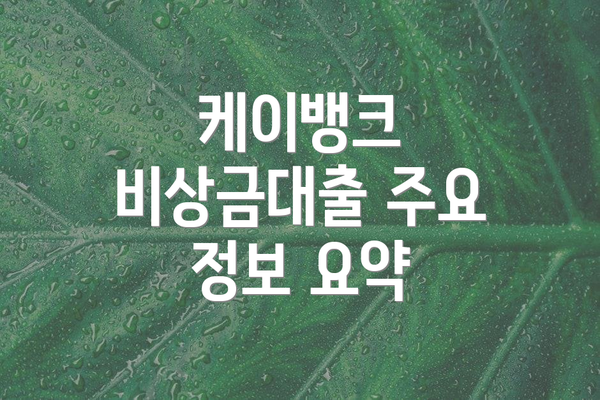 케이뱅크 비상금대출 주요 정보 요약
