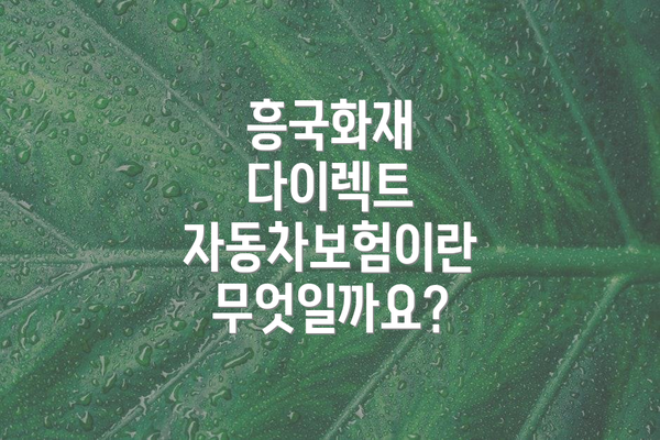 흥국화재 다이렉트 자동차보험 주요 내용 비교표