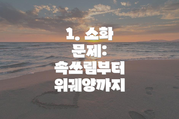 1. 소화 문제: 속쓰림부터 위궤양까지