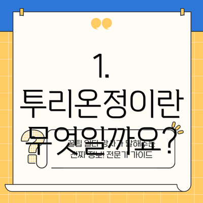 1. 투리온정이란 무엇일까요?