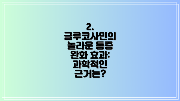 2. 글루코사민의 놀라운 통증 완화 효과: 과학적인 근거는?