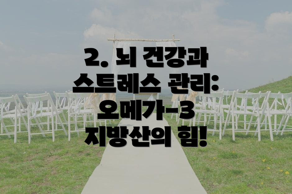 2. 뇌 건강과 스트레스 관리: 오메가-3 지방산의 힘!