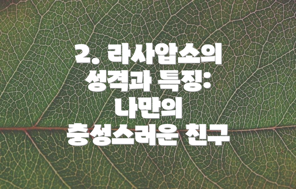 2. 라사압소의 성격과 특징: 나만의 충성스러운 친구