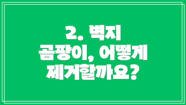 2. 벽지 곰팡이, 어떻게 제거할까요?