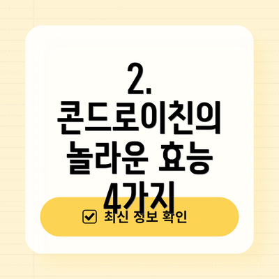 2. 콘드로이친의 놀라운 효능 4가지