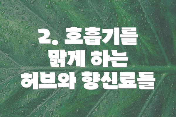 2. 호흡기를 맑게 하는 허브와 향신료들