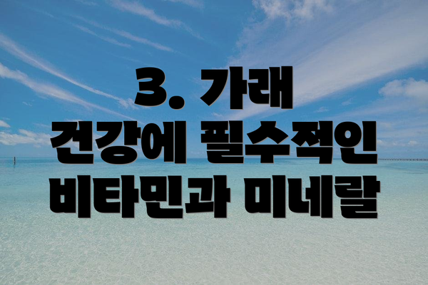 3. 가래 건강에 필수적인 비타민과 미네랄