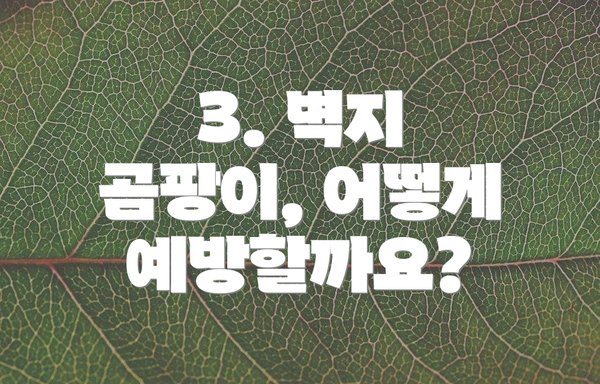 3. 벽지 곰팡이, 어떻게 예방할까요?