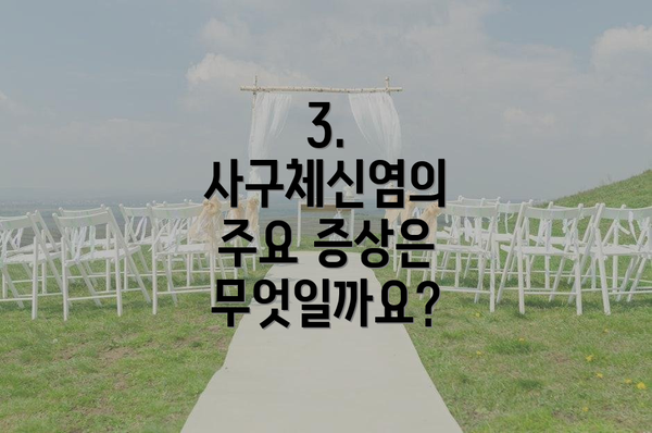 3. 사구체신염의 주요 증상은 무엇일까요?