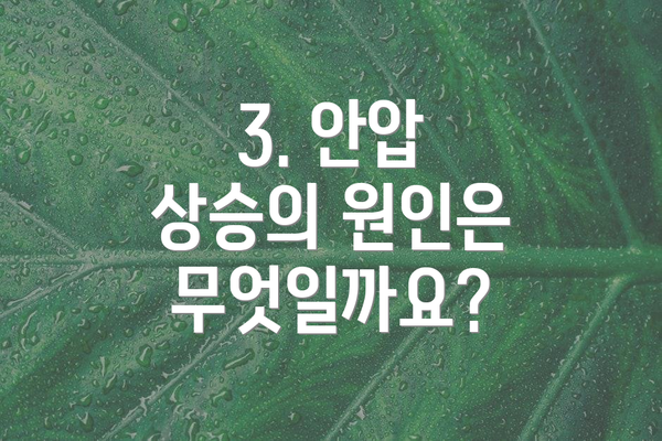 3. 안압 상승의 원인은 무엇일까요?