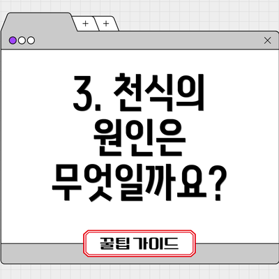 3. 천식의 원인은 무엇일까요?