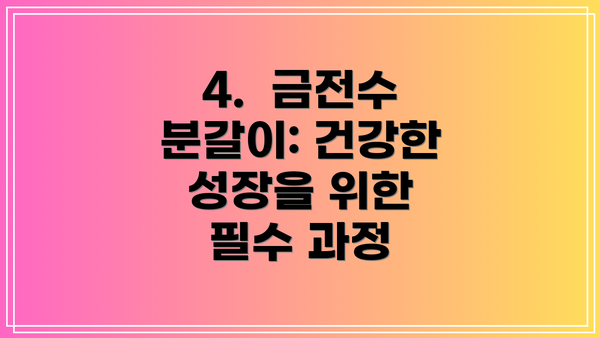4. 금전수 분갈이: 건강한 성장을 위한 필수 과정