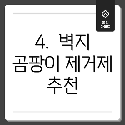 4.  벽지 곰팡이 제거제 추천