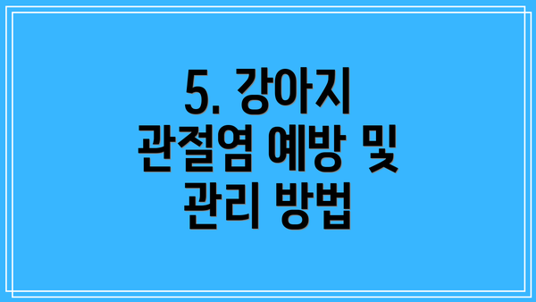 5. 강아지 관절염 예방 및 관리 방법