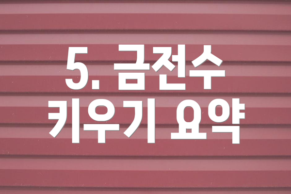 5. 금전수 키우기 요약