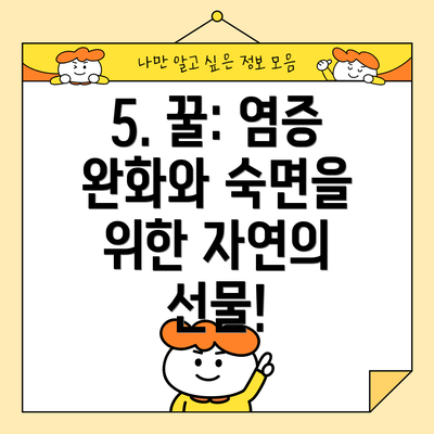 5. 꿀: 염증 완화와 숙면을 위한 자연의 선물!