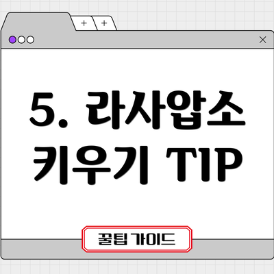 5. 라사압소 키우기 TIP