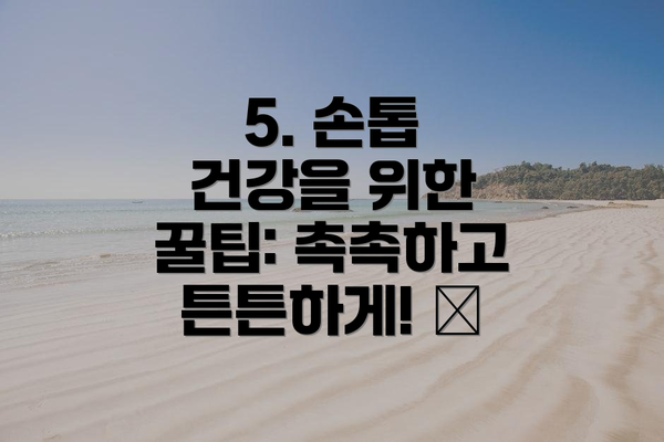 5. 손톱 건강을 위한 꿀팁: 촉촉하고 튼튼하게! 🍯