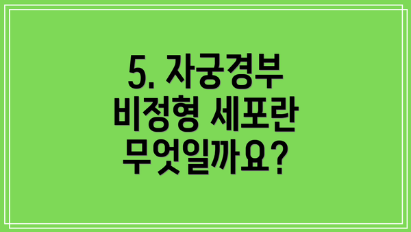 5. 자궁경부 비정형 세포란 무엇일까요?