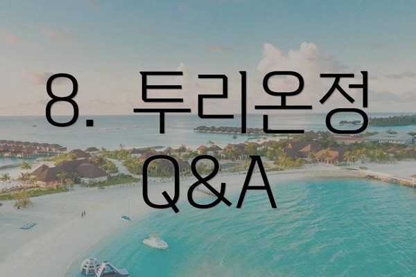 8. 투리온정 Q&A