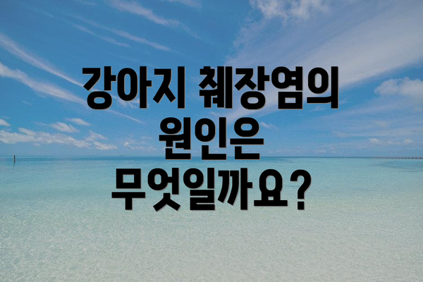 강아지 췌장염의 원인은 무엇일까요?