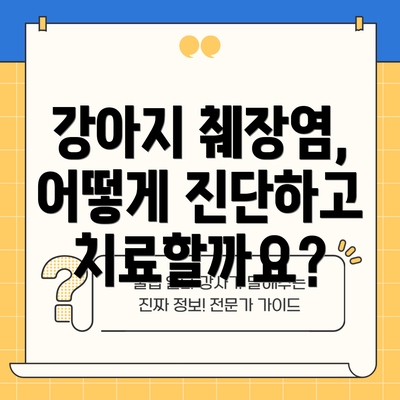 강아지 췌장염, 어떻게 진단하고 치료할까요?