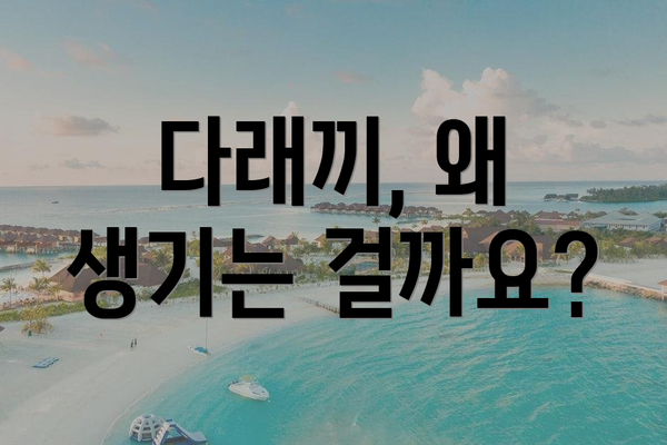 다래끼, 왜 생기는 걸까요?