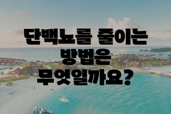 단백뇨를 줄이는 방법은 무엇일까요?