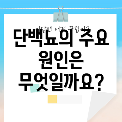 단백뇨의 주요 원인은 무엇일까요?