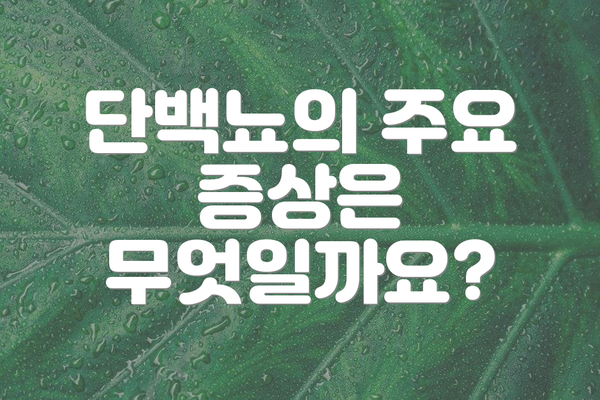 단백뇨의 주요 증상은 무엇일까요?