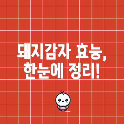 돼지감자 효능, 한눈에 정리!