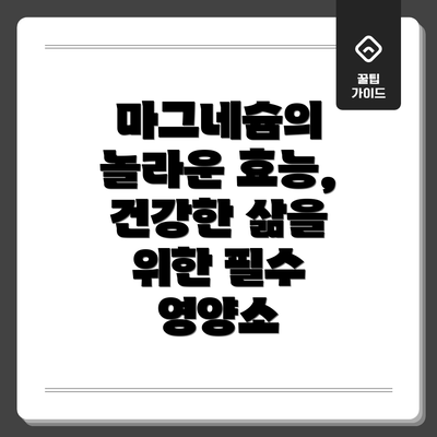 마그네슘의 놀라운 효능, 건강한 삶을 위한 필수 영양소