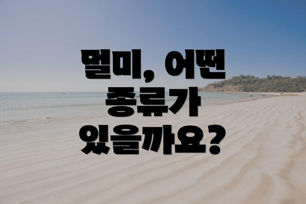 멀미, 어떤 종류가 있을까요?