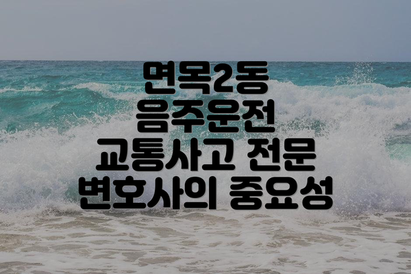 면목2동 음주운전 교통사고 발생 시, 초기 대처법