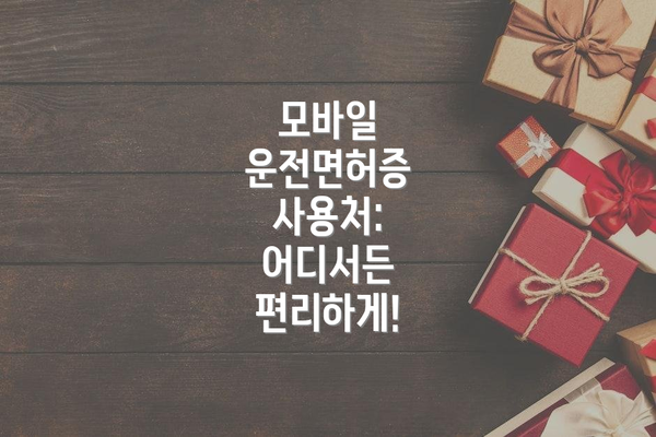 모바일 운전면허증 사용처: 어디서든 편리하게!