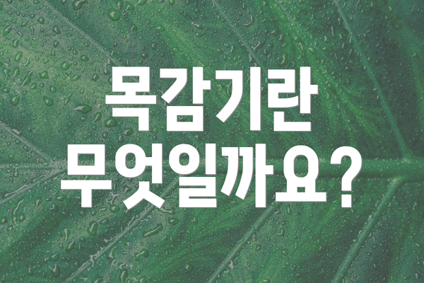 목감기란 무엇일까요?