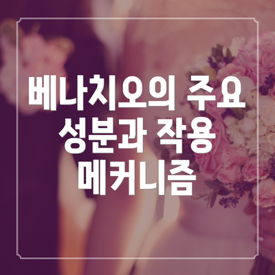 베나치오의 주요 성분과 작용 메커니즘