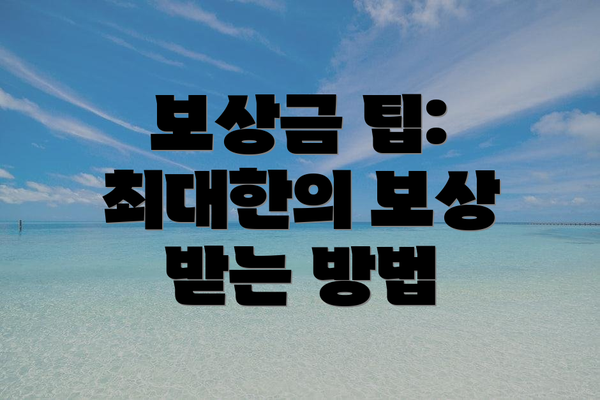 보상금 팁: 최대한의 보상 받는 방법