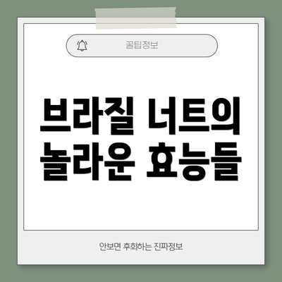 브라질 너트의 놀라운 효능들