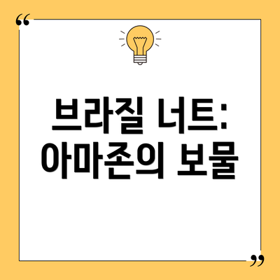 브라질 너트: 아마존의 보물