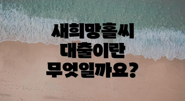새희망홀씨 대출이란 무엇일까요?